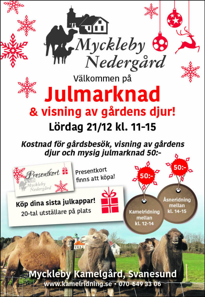 Julmarknad 2024